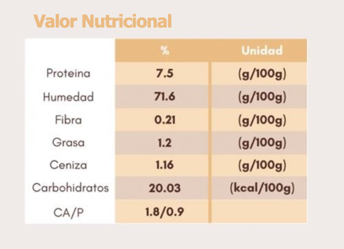 Plan 4S - 22.500 gr - Recetas Pollo